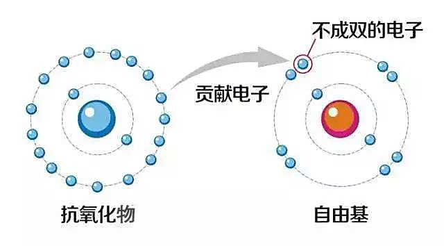 试过很多方法，发现这样改善皱纹超有效！-还原水